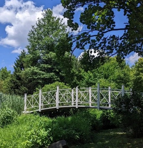 View Details