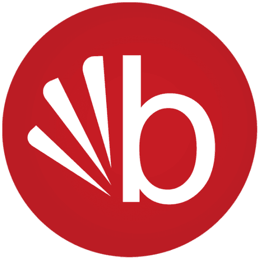 Bisconti Computers