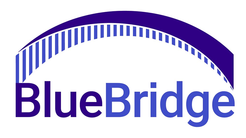 BlueBridge Networks