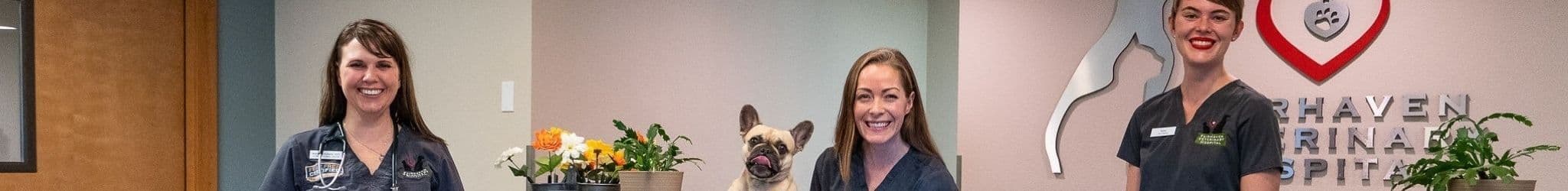 Fairhaven Veterinary Hospital
