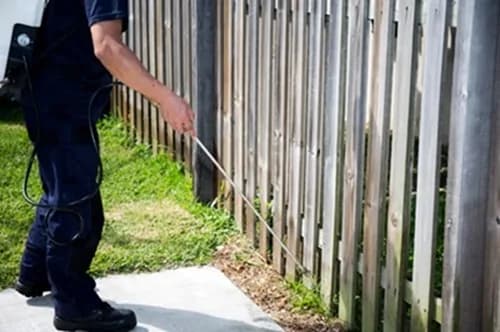 Reliable Pest Control Jacksonville Services Delivering Safe Effective Long Term Pest Solutions