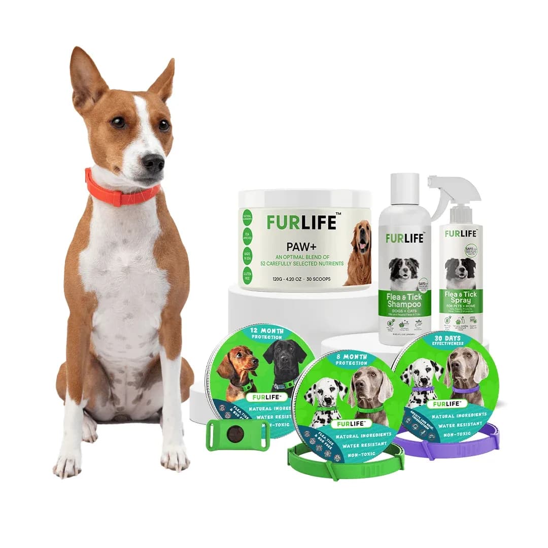 The Natural way to a Wagging Tail-FurLife