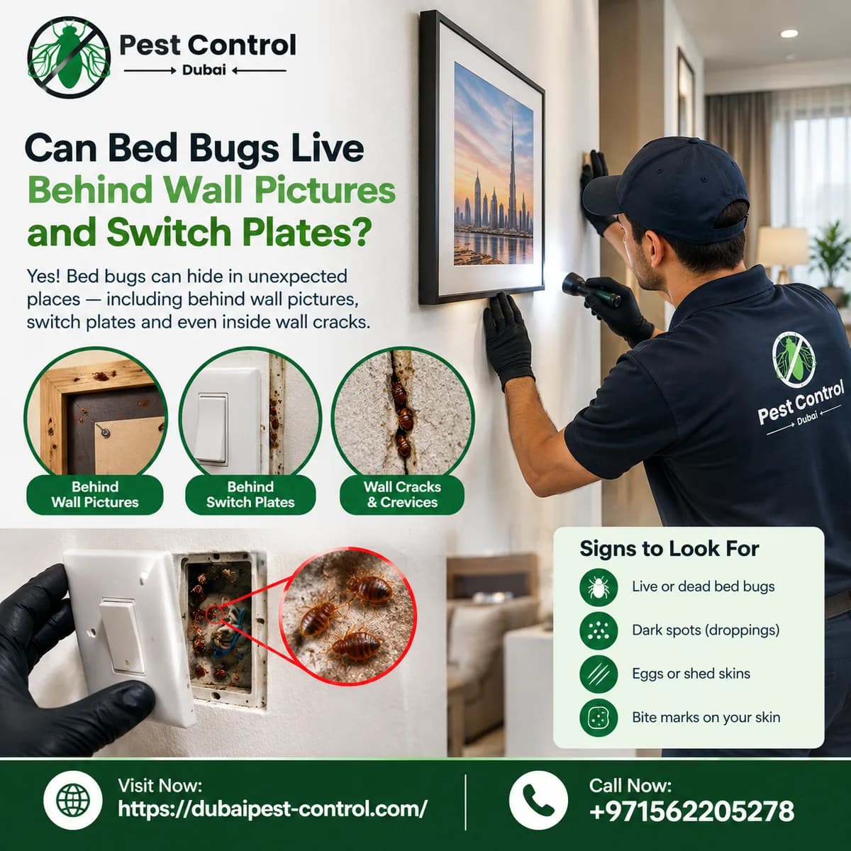 Can Bed Bugs Live Behind Wall Pictures and Switch Plates? 