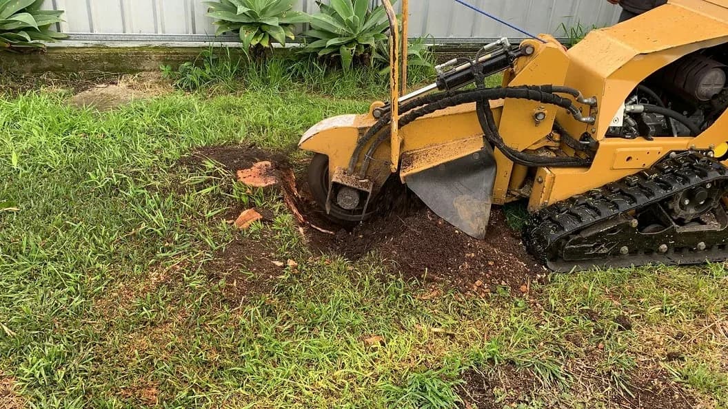 Owensboro Stump Grinding | Tree Stump Removal Services in Owensboro, KY