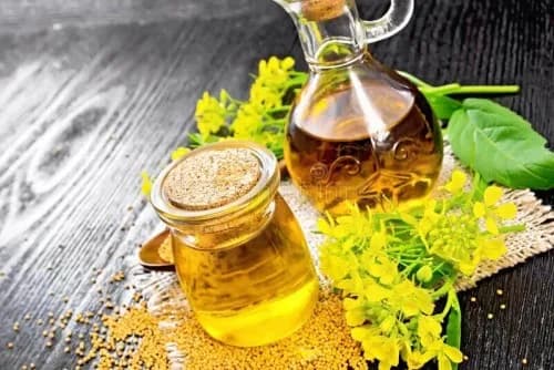 Best Canola Oil in Malaysia - Ramli Foods