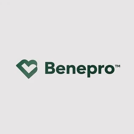 BENEPRO The Benefit Professionals