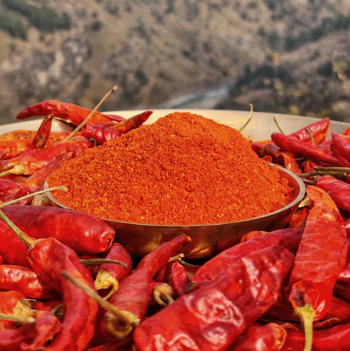 Red Chilli Powder Suppliers in Nagpur