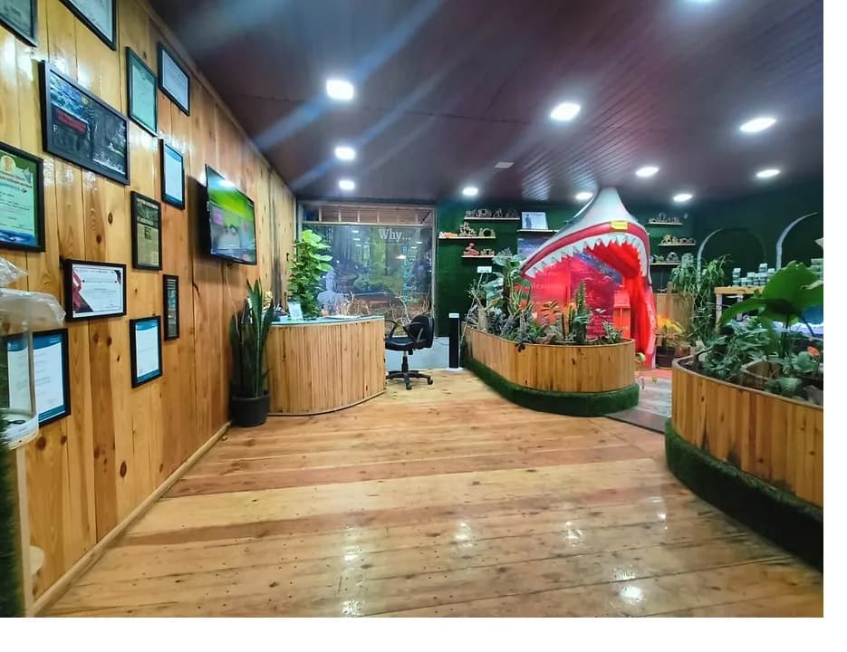 Best Aquarium Gallery in Pune – Blessings Aquarium