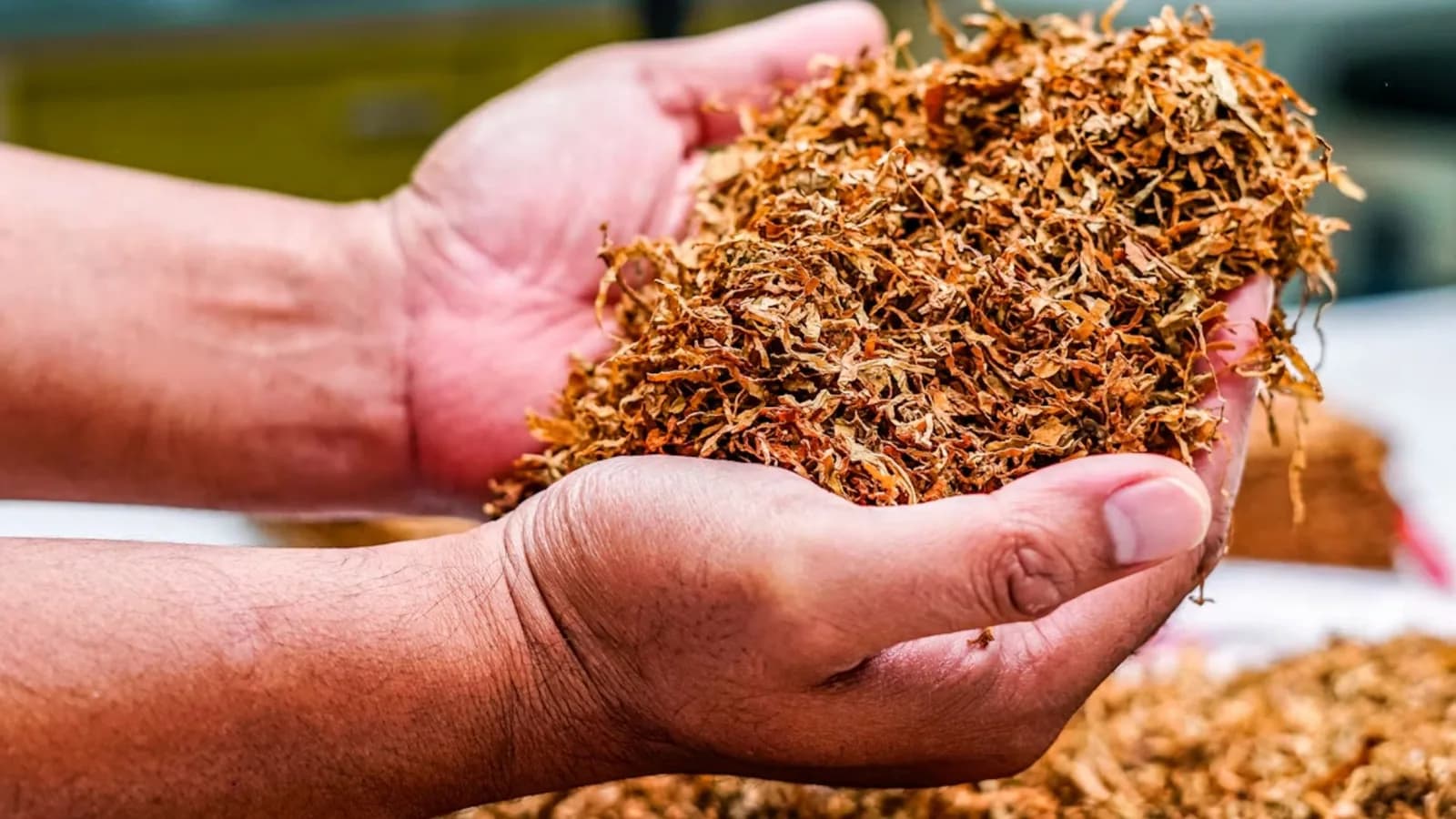 Enroll in a Tobacco Awareness Course Online in Pennsylvania
