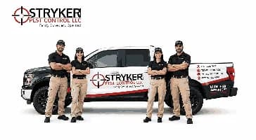 Pest Control Services in Columbus for Homes and Businesses