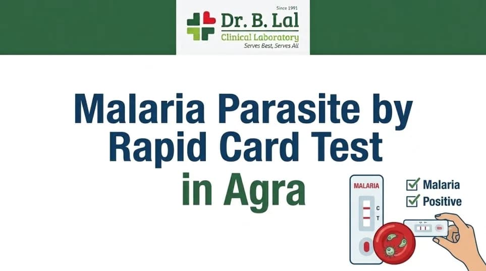 Malaria Test in Agra | NABL Certified Lab | Dr. B. Lal Lab
