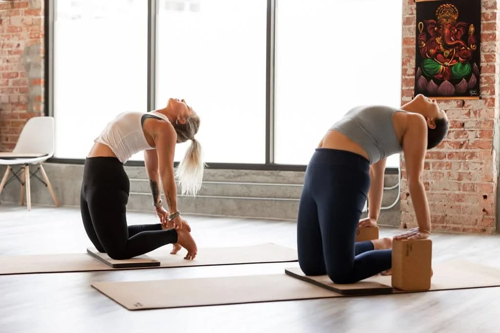 Refresh Your Mind and Find Balance Through Meditation in Charlotte, NC 