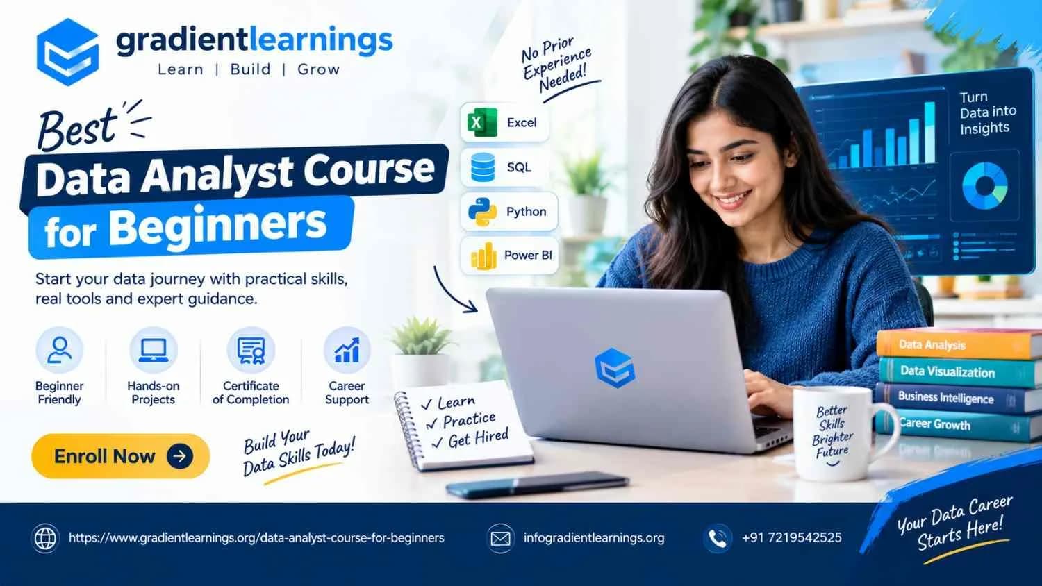 Best data analyst course for beginners