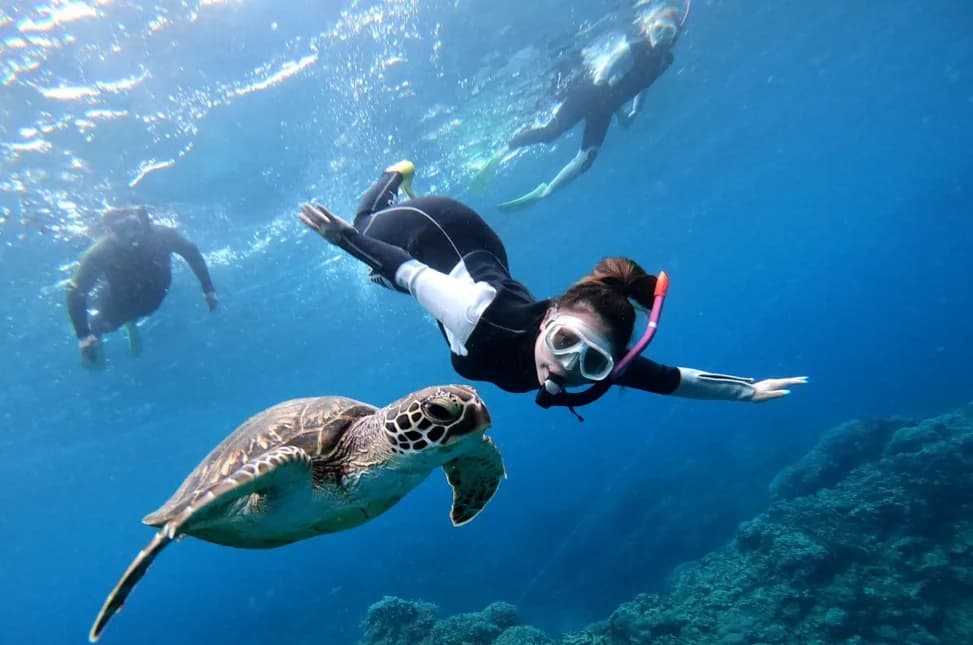 Snorkeling In muscat