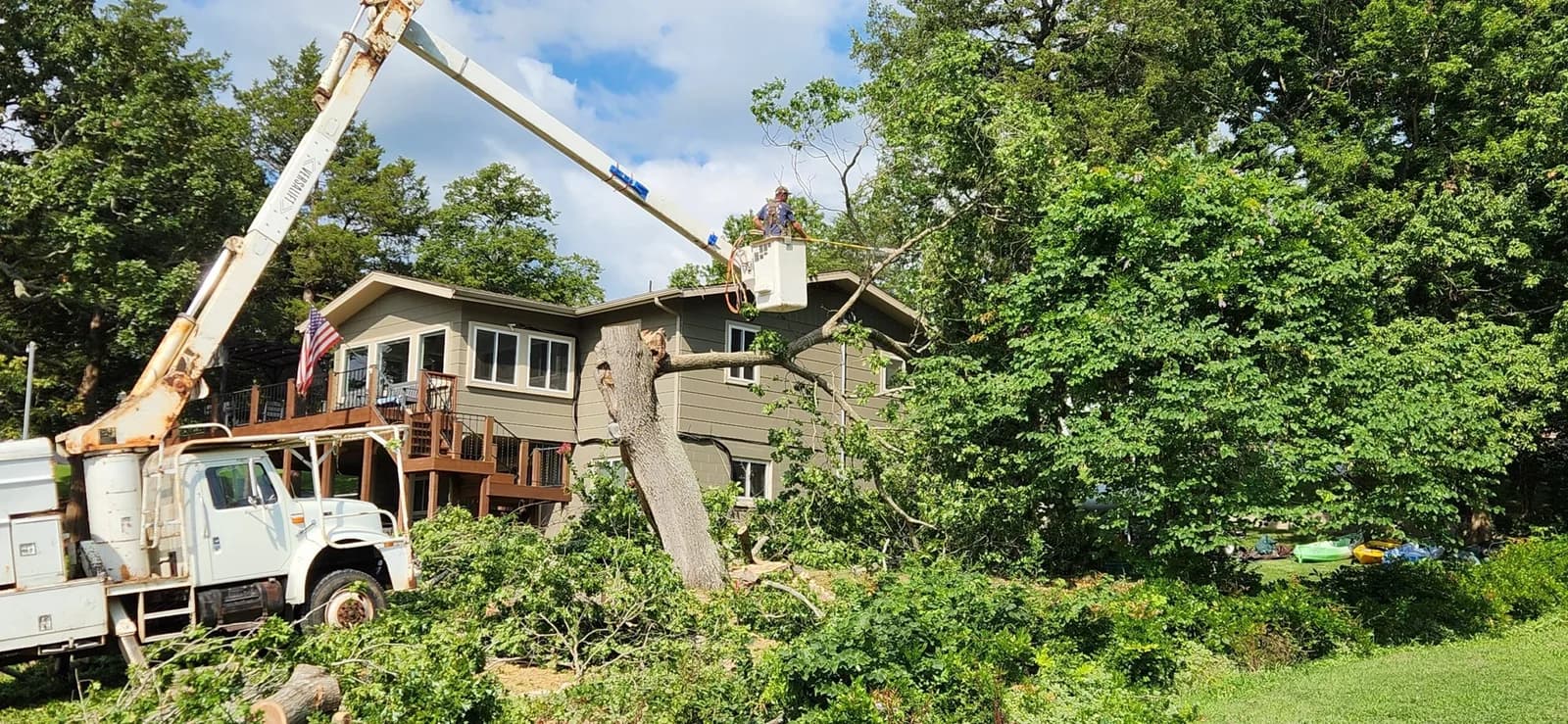 Branson's Trusted Tree Service Company | RB Hardwoods & Tree Service