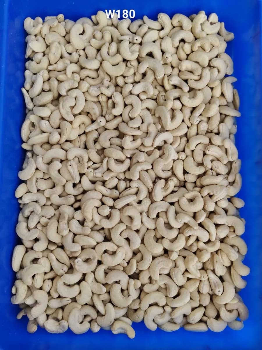 Ahmedabad Vadodara CASHEWS WHOLESALE AVAILABLE IN GUJARAT 7550251115