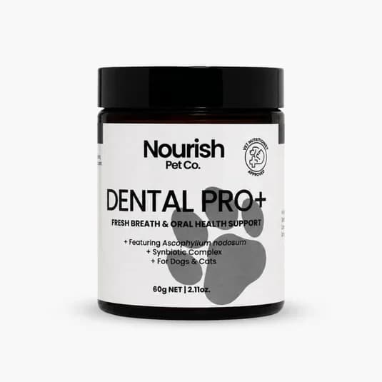 Best Dog Dental Powder for Healthy Oral Care