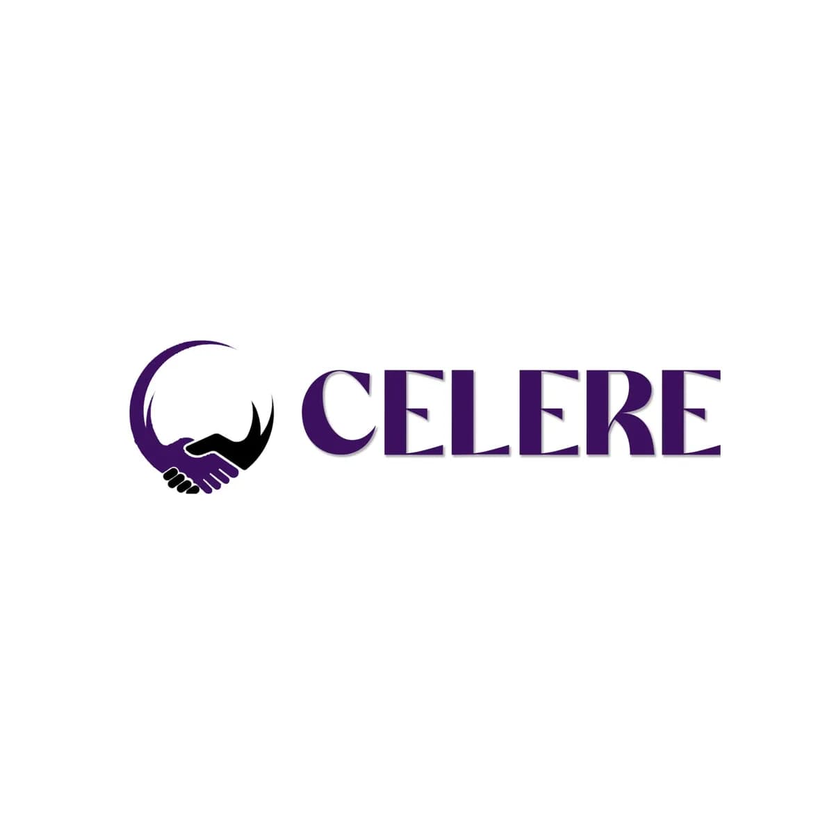 Celere Services | Trusted SEO, PPC & Website Development Agency 