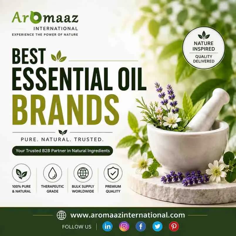 Best Essential Oils Companies | Premium Wholesale Essential Oils