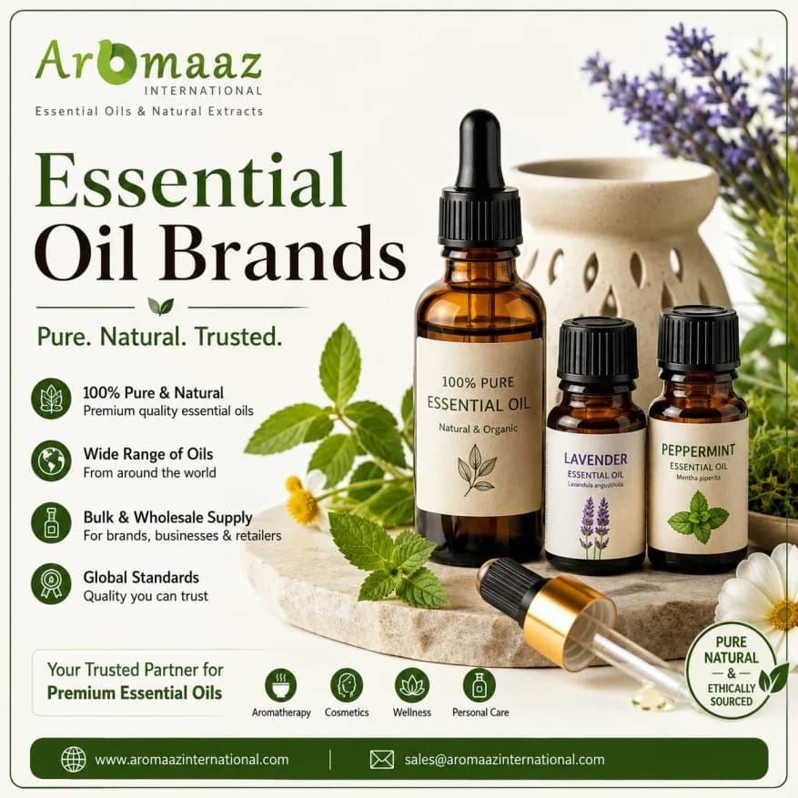 Best Essential Oils and Trusted Essential Oil Brands