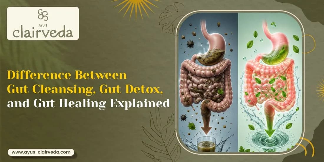 Ayurvedic gut health treatment in Vadodara | ayus-clairveda