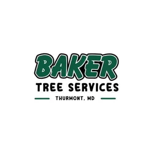 Protect Your Home from Overhanging Branches – Book Tree Trimming