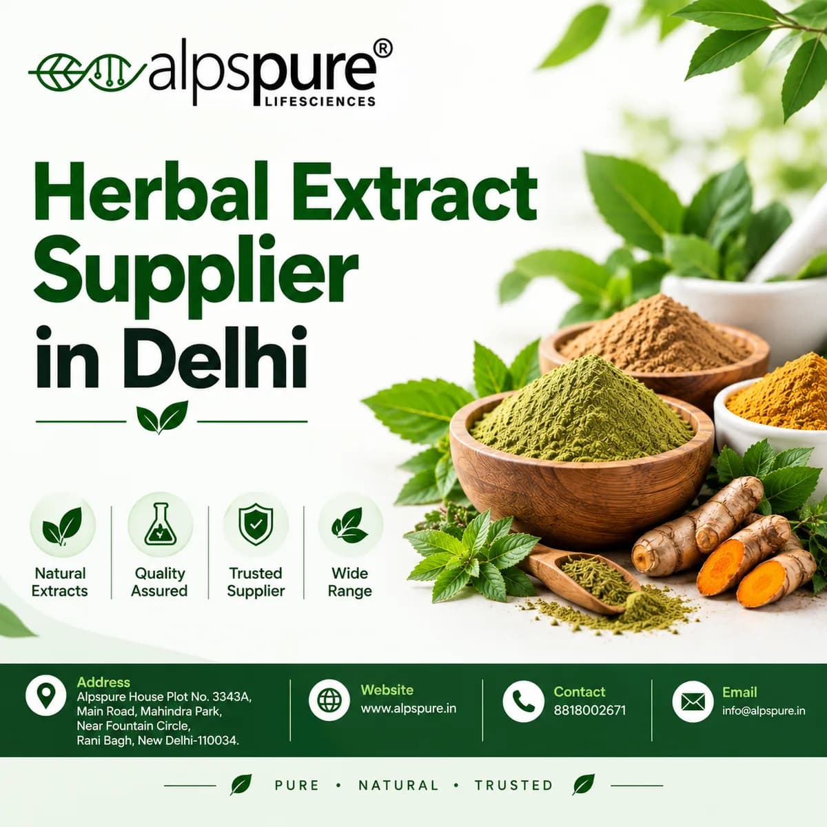 Herbal Extract Supplier in Delhi