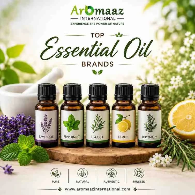 Top 5 Essential Oil Brands | Best Essential Oil Brands in the World 