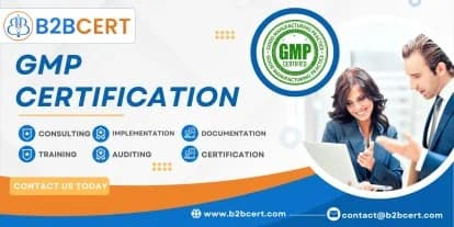 GMP Consultants Services in Austin
