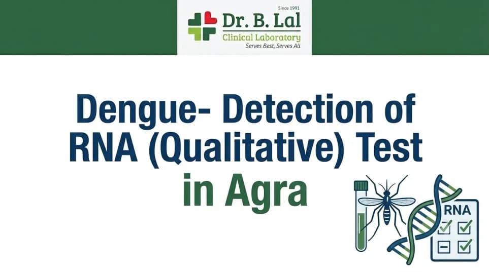 Book Dengue RNA Test Online in Agra | Dr. B. Lal Lab