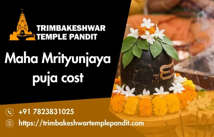 Online Booking For Maha Mrityunjaya Puja And Rahu Ketu Pooja 