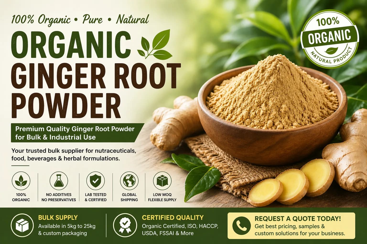 •	Bulk Organic Ginger Root Powder Supplier | Low MOQ & Global Supply  