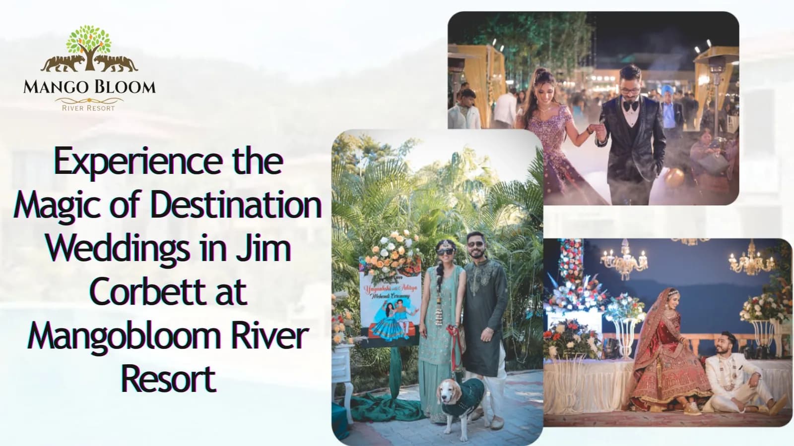 Book Wedding Resort at Affordable Price in Jim Corbett | Mango Bloom River Resort
