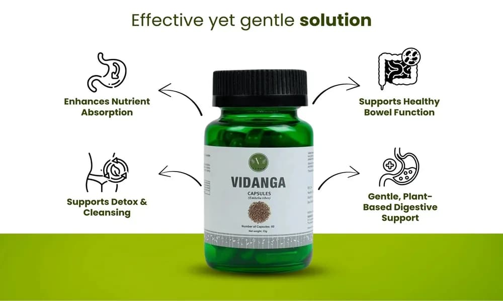 Digestive Wellness Capsules – Gut Health Supplements with Vidanga Extract