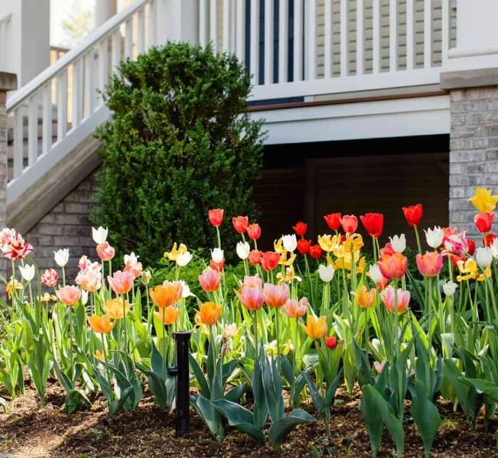 Backyard Landscaping Services Near Blacktown