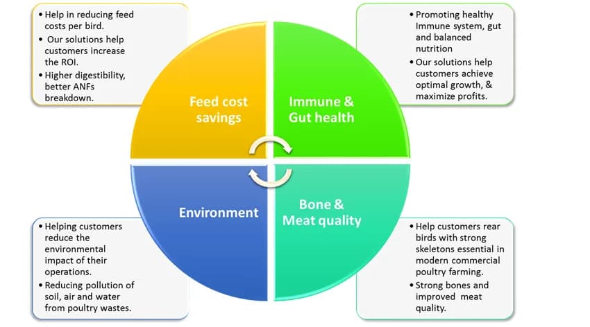 Poultry Feed Additives - ABTL