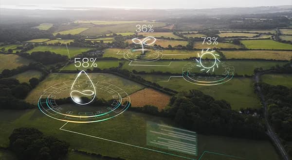 Expert Environmental Monitoring and Assessment Services