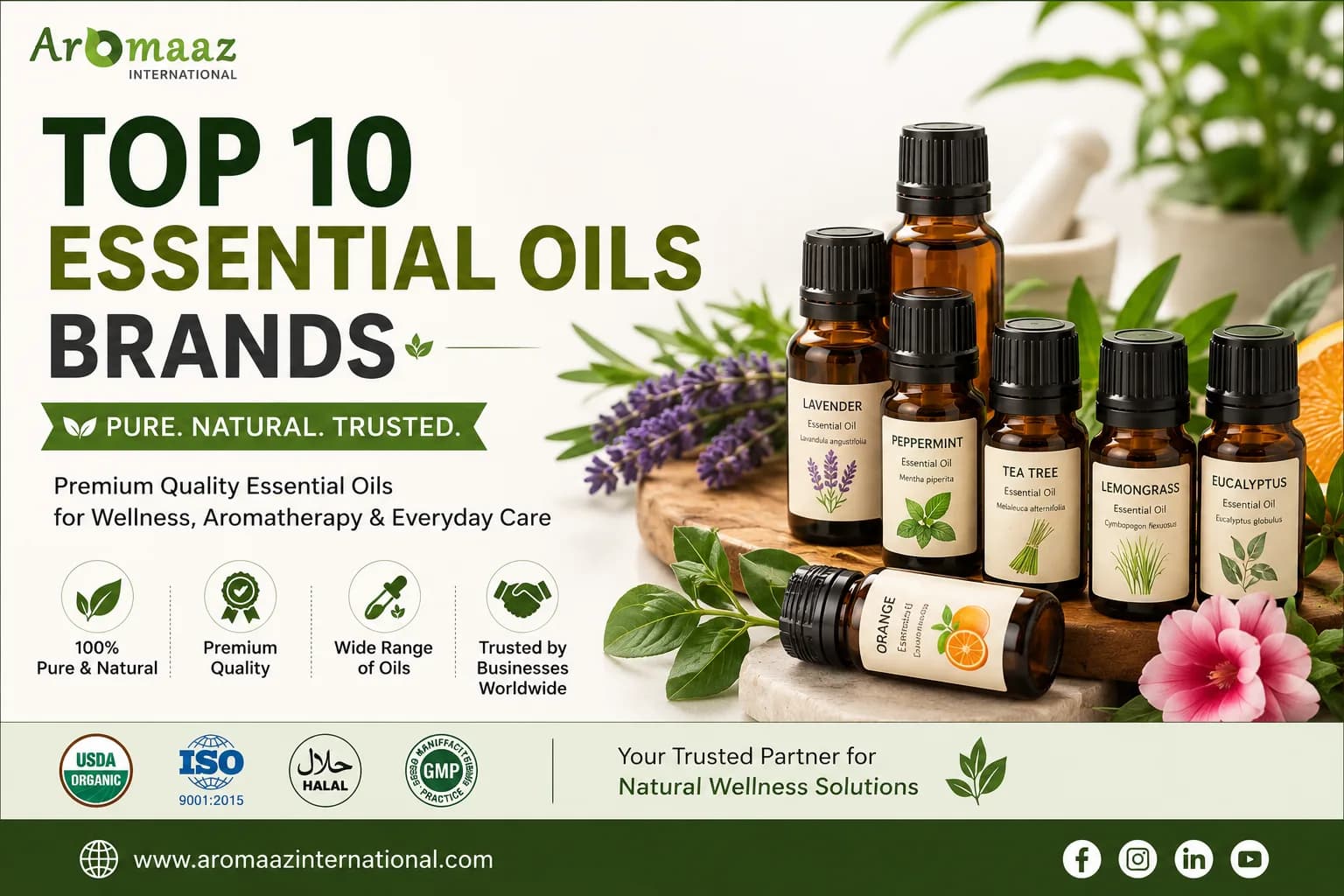 Top 10 Essential Oils Brands | Premium Bulk & Wholesale Supplier