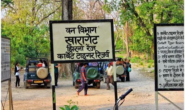 Jhirna Zone Safari Timings, Permit, Cost and Online Booking