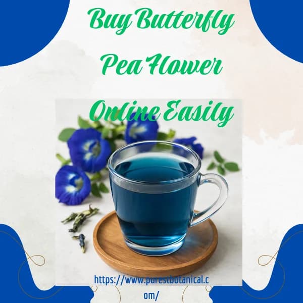 Buy Butterfly Pea Flower Online Easily