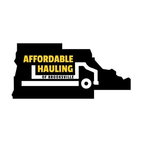 20 Yard Dumpster Rental for Property Cleanup and Renovation Work