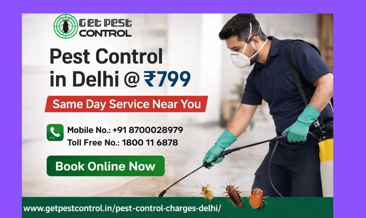 Pest Control Charges in Delhi | Affordable Price List 2026