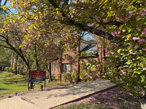 Professional Telehealth Therapy in Princeton Offering Convenient Mental Health Support