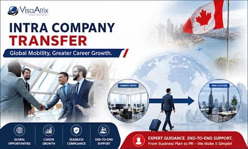 Easy Intra Company Transfer Assistance by Visaaffix