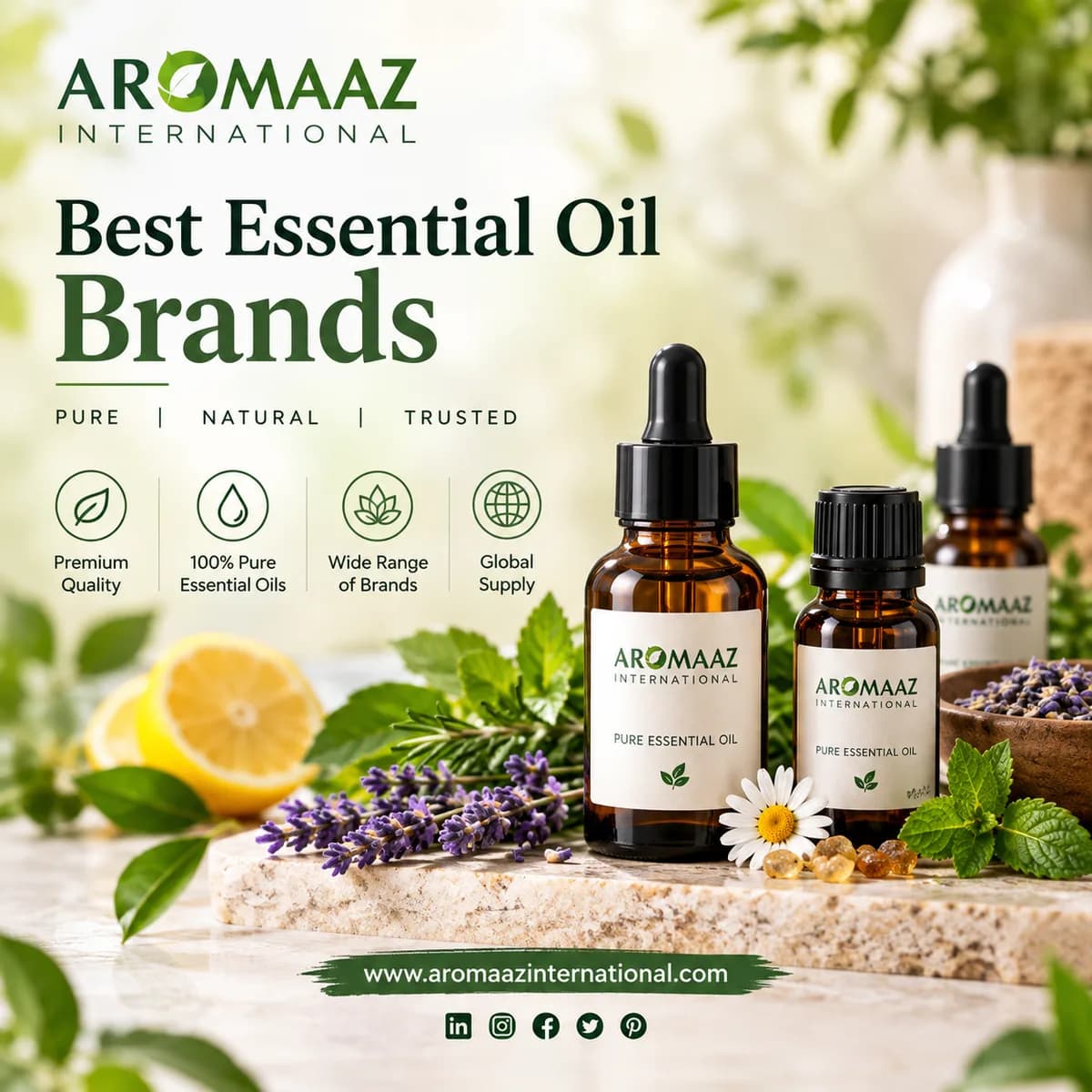Best Essential Oil Brands | Bulk & Wholesale Essential Oils Supplier