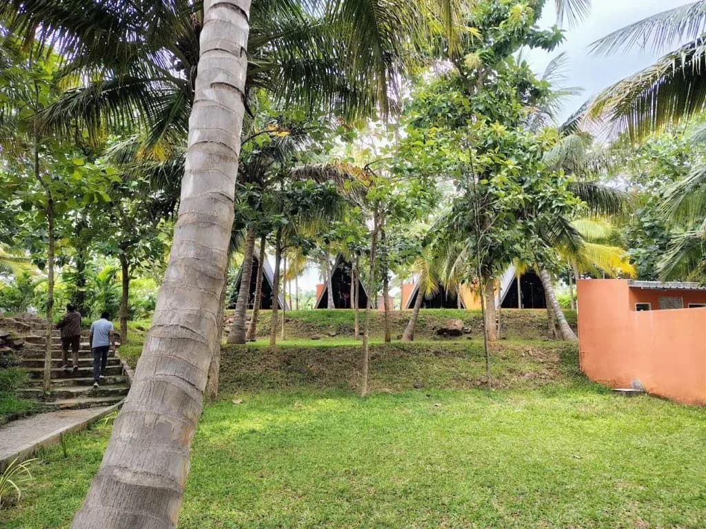 Day Outing Packages Near Bangalore – Adventure, Fun & Nature!