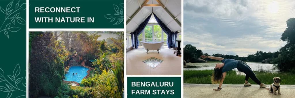 Bengaluru Farm Stays: The Ultimate Guide to Peaceful Getaways Near Bangalore