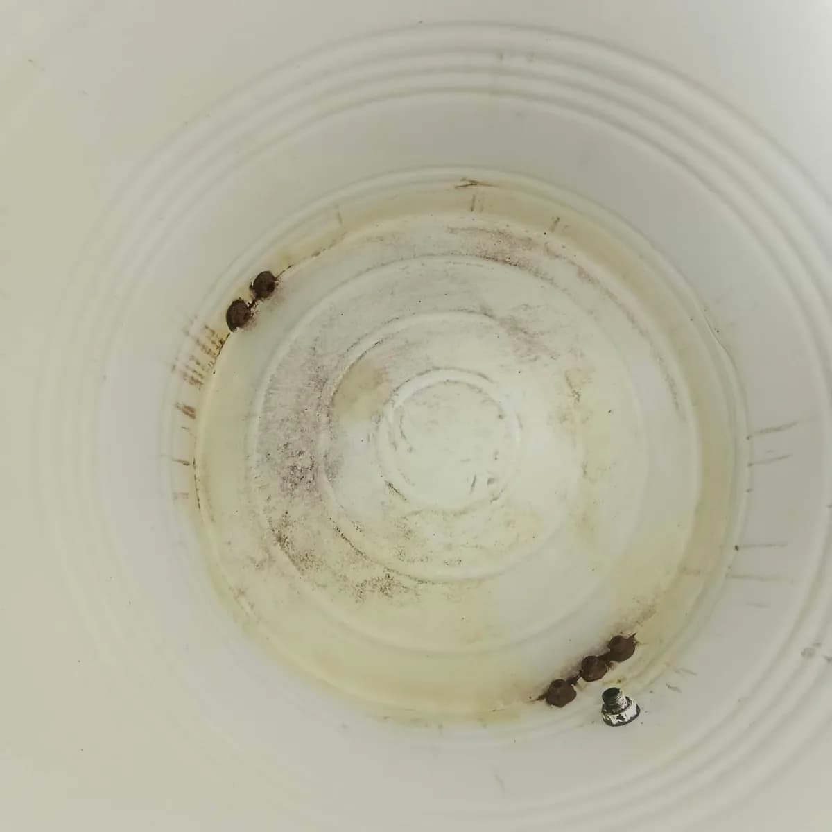 Is Your Water Really Clean? Expert Tank Cleaning Near You!