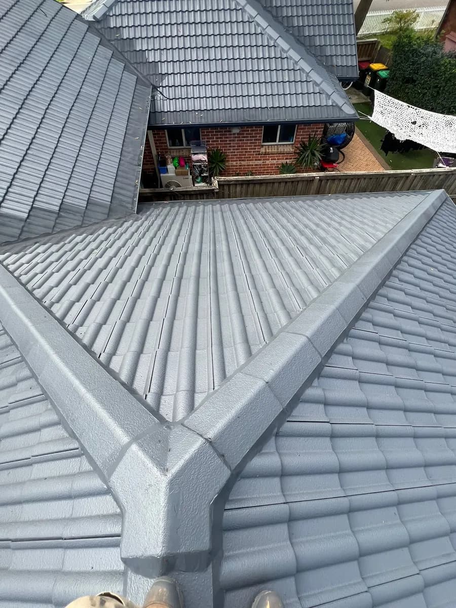 Roof Painters in Shalvey