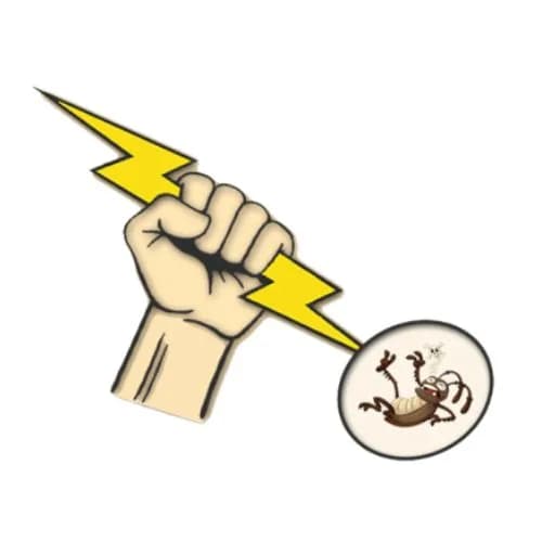 GAM Bed Bug Exterminator Staten Island